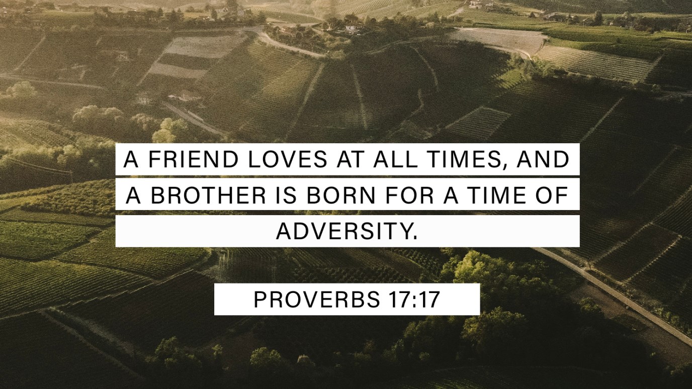 proverbs 17:17 kjv