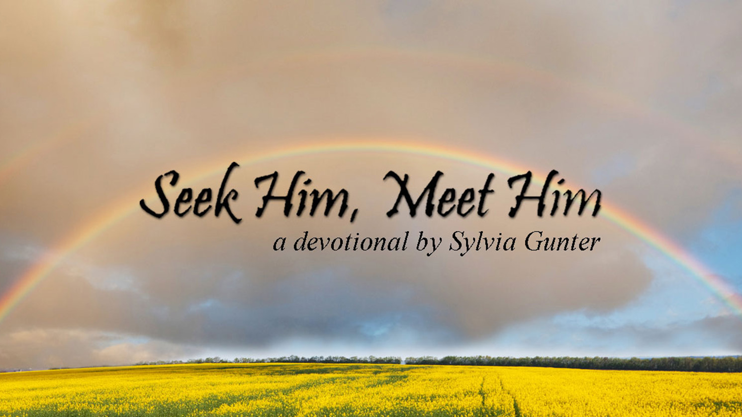 Seek Him, Meet Him
