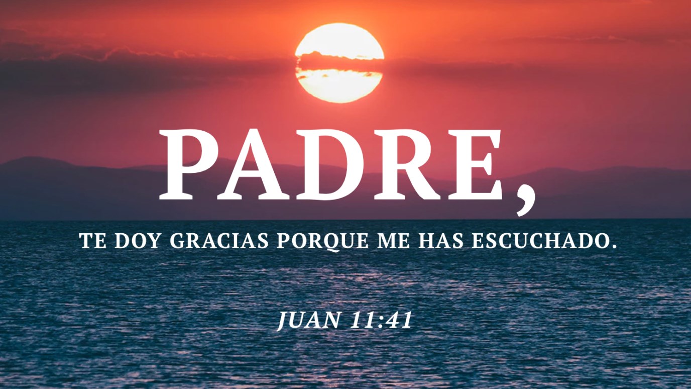 Versículo del Día - Juan 11:41 - iDisciple