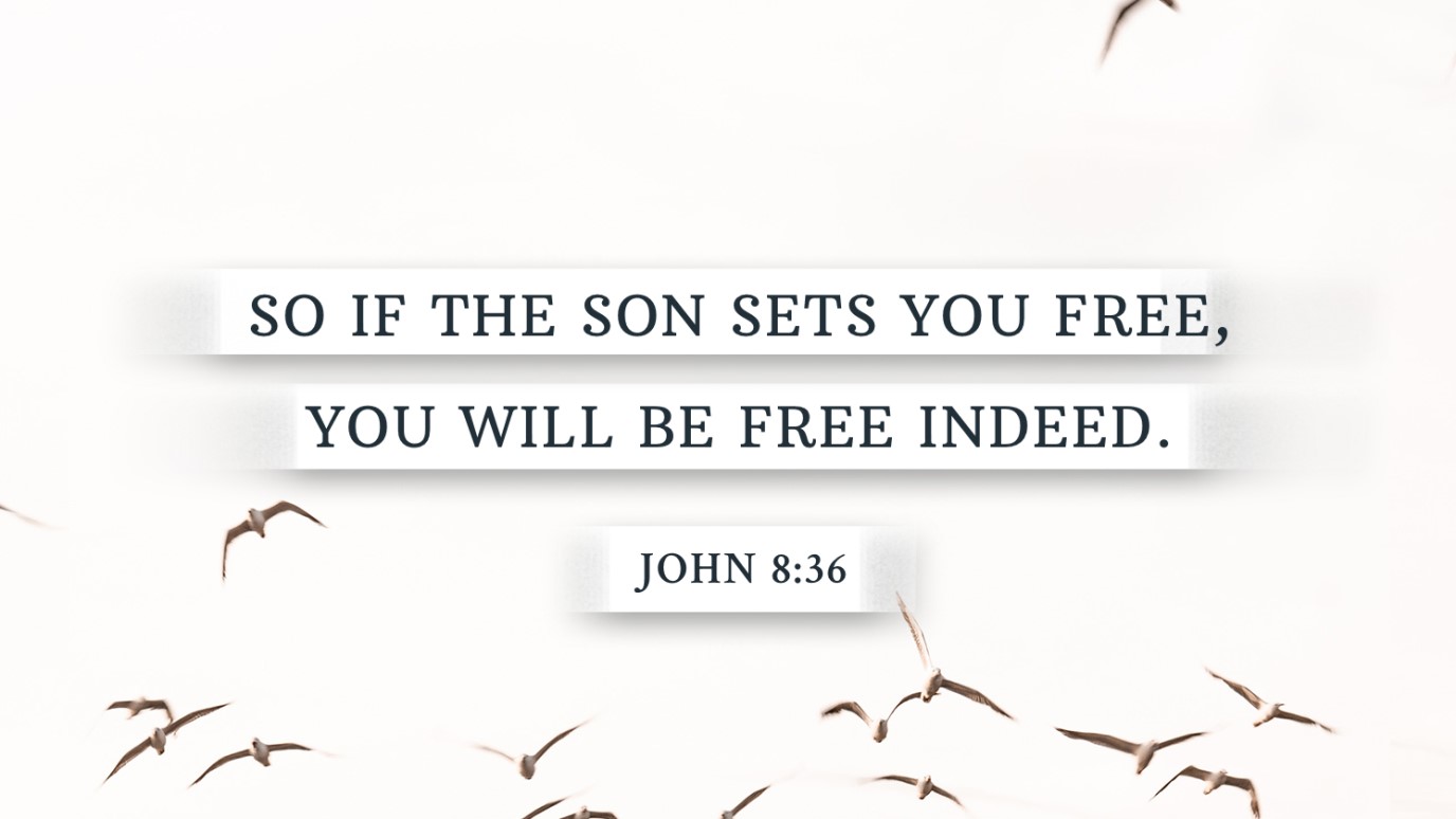 John 18:36, NIV
