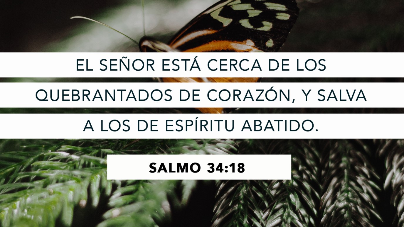 Versículo Del Día Salmo 3418 Idisciple